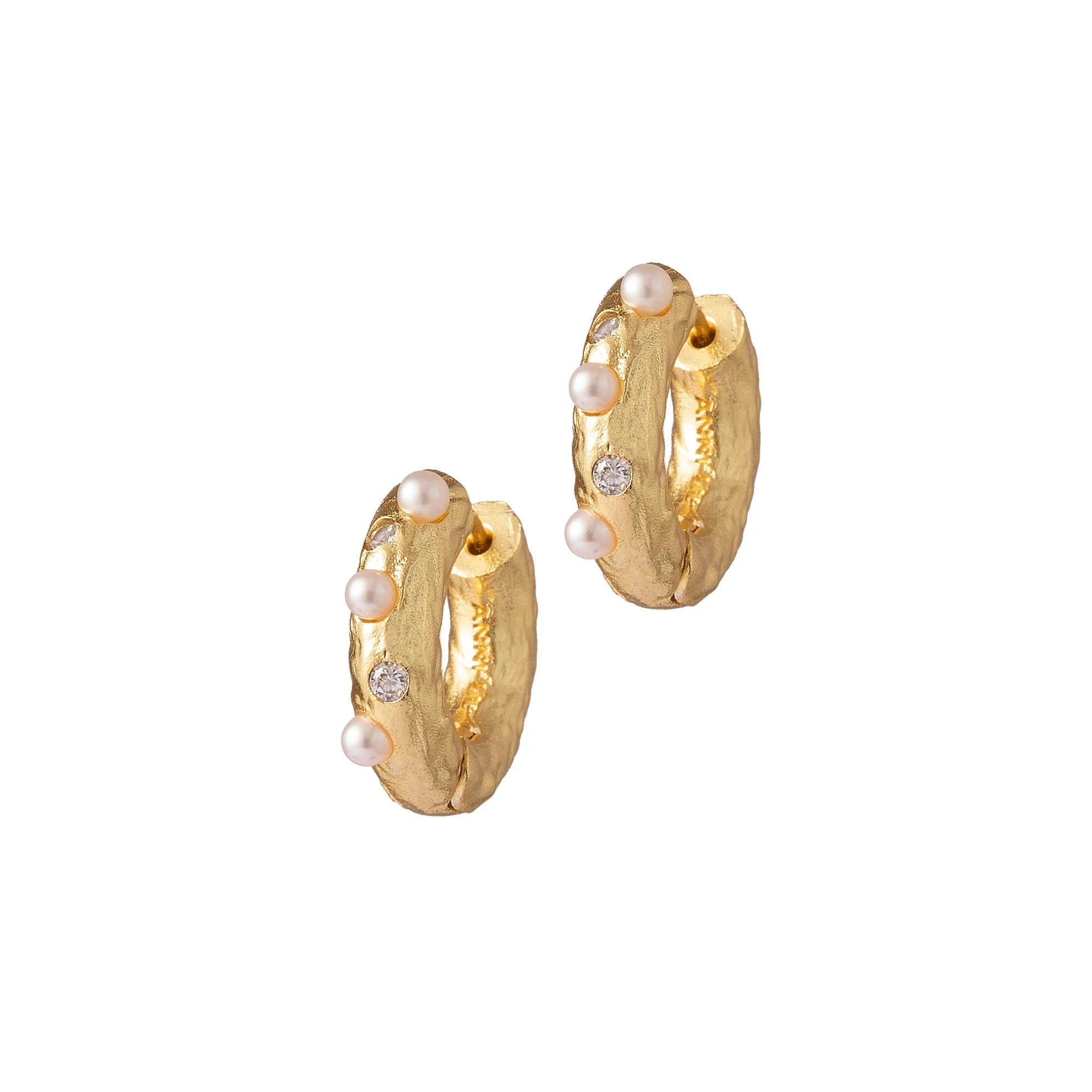 The Gem in a Hoop Earrings